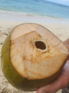 Coconut Water