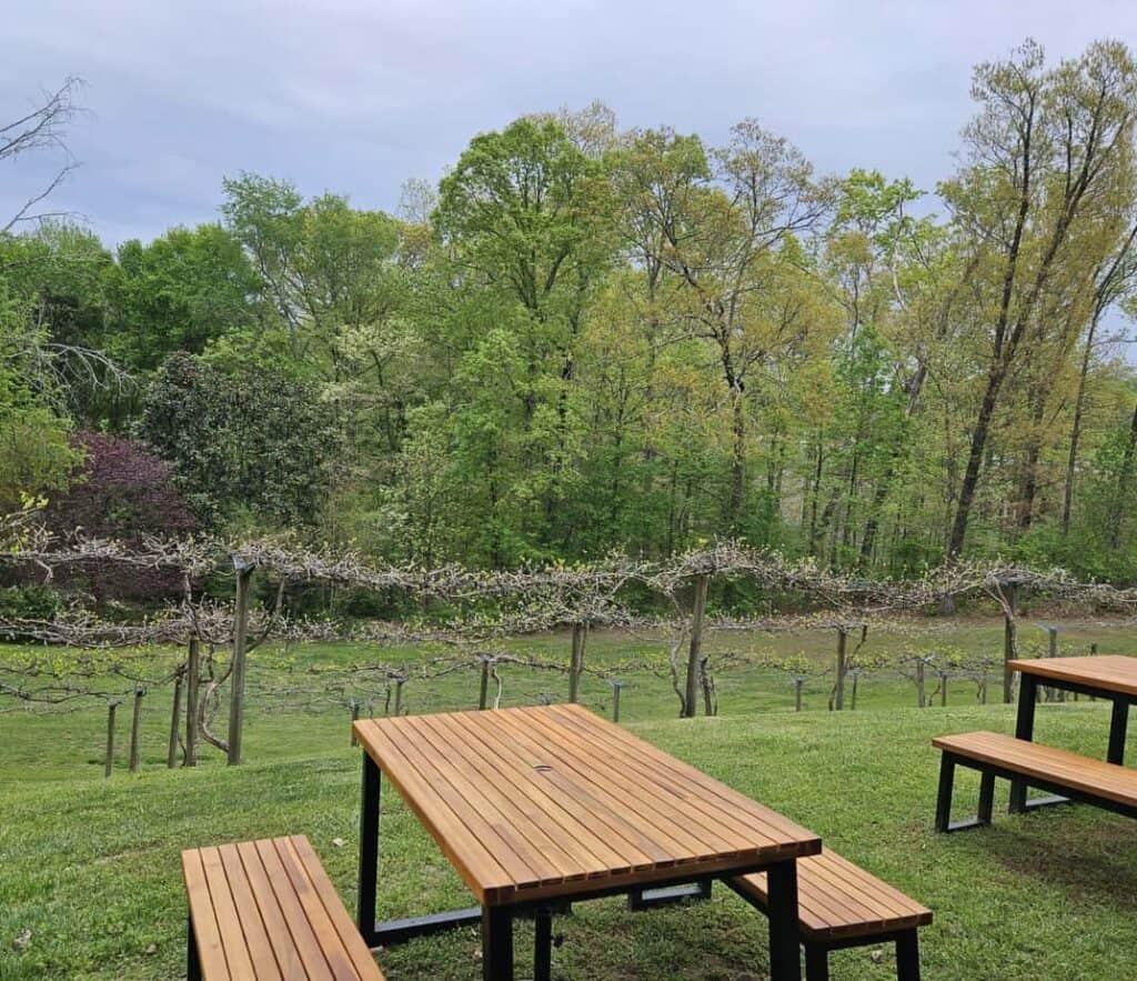 Georgia Winery Patio
