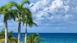 Secrets Montego Bay All-Inclusive Resort Review